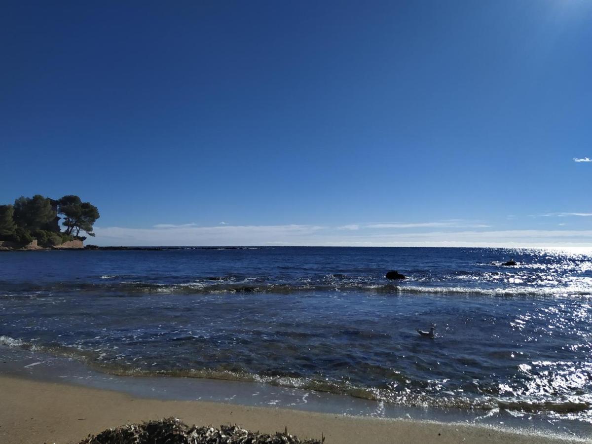 Studio Paradise entre mer et pins Saint-Raphaël Eksteriør bilde